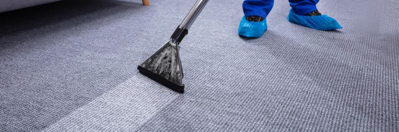 Carpet cleaning service in action