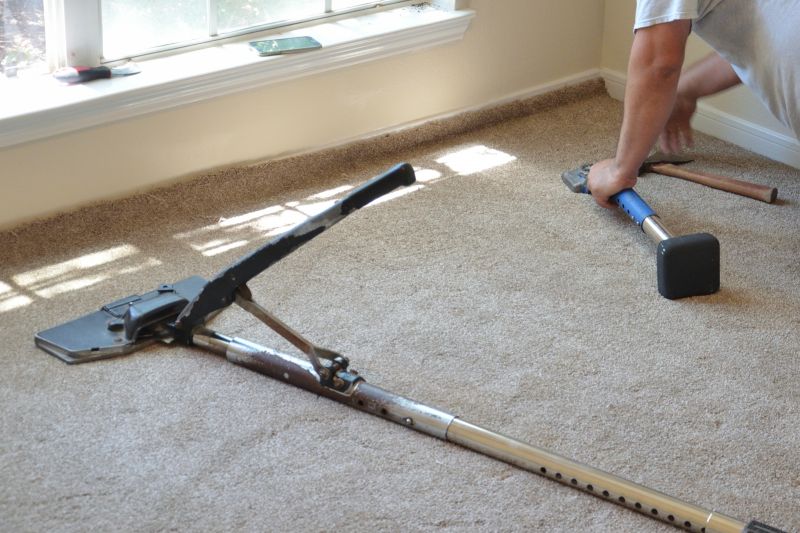 Customer receiving carpet service